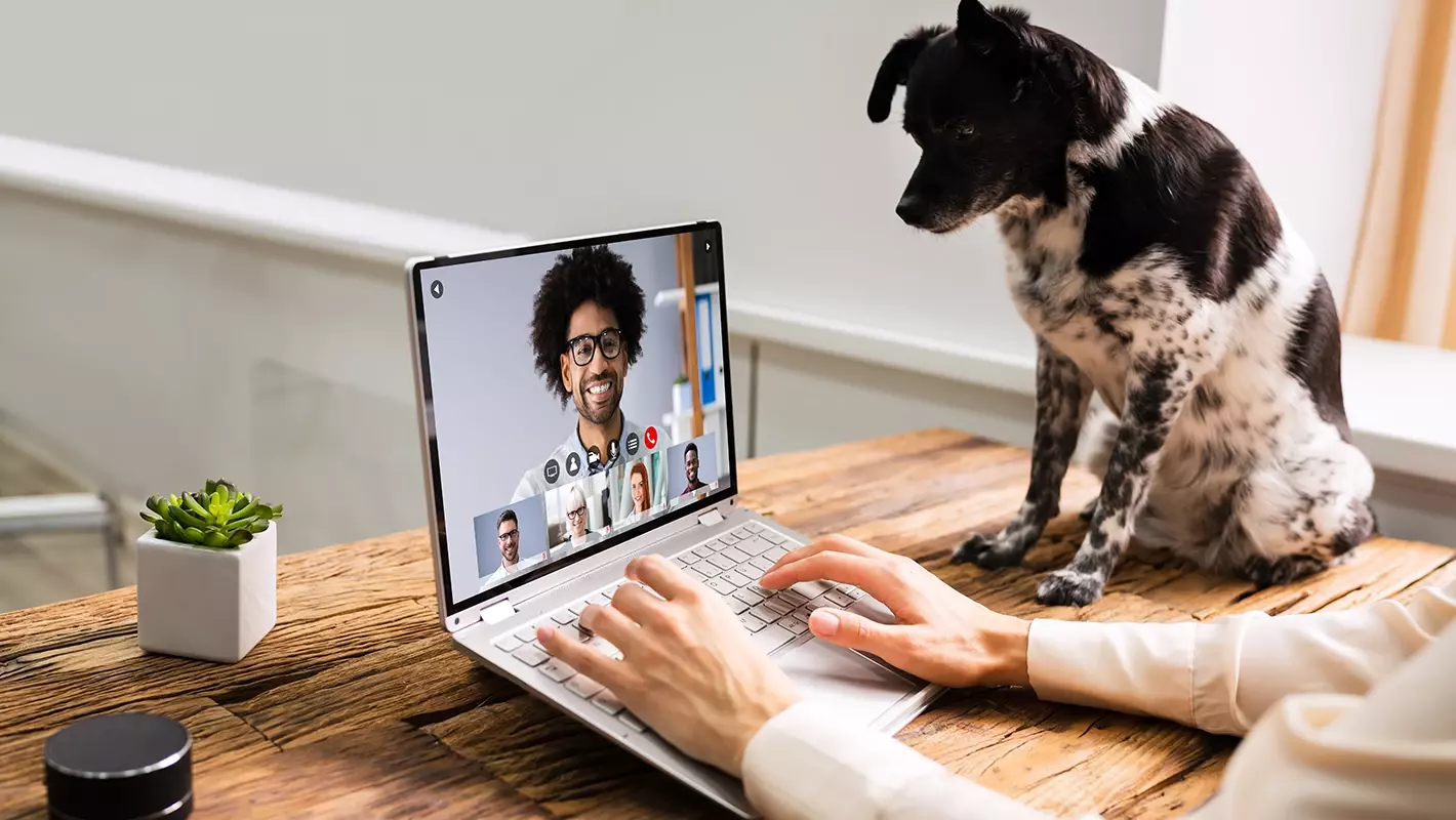 Mensch vor Bildschirm mit Videokonferenz, daneben sitzend ein Hund