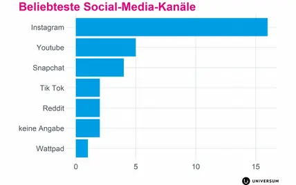 Beliebteste Social Media Kanäle